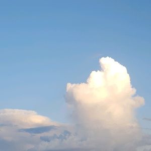 Meet your Posher, Audrey